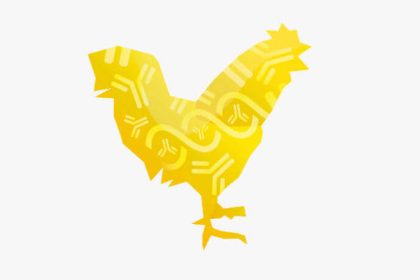 BioChek Poultry productoverview