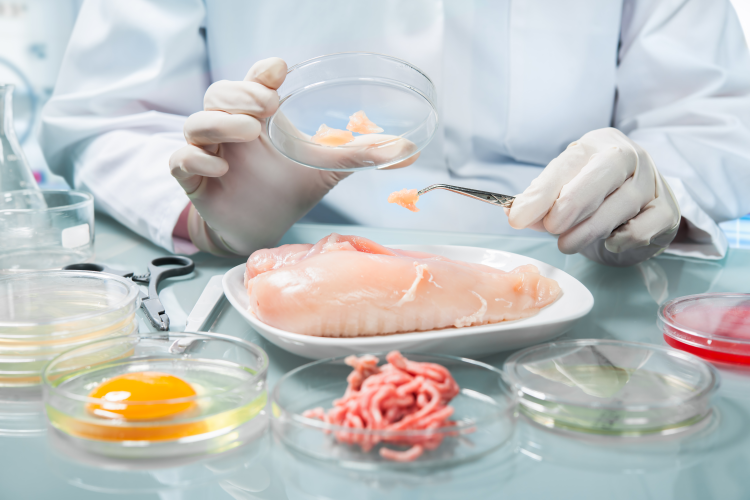 NPIP approved BioChek Salmonella qPCR Reagents available in the U.S.