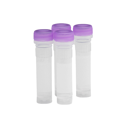 PCR Standards 4