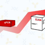 Monitoramento de dourados com qPCR e ELISA